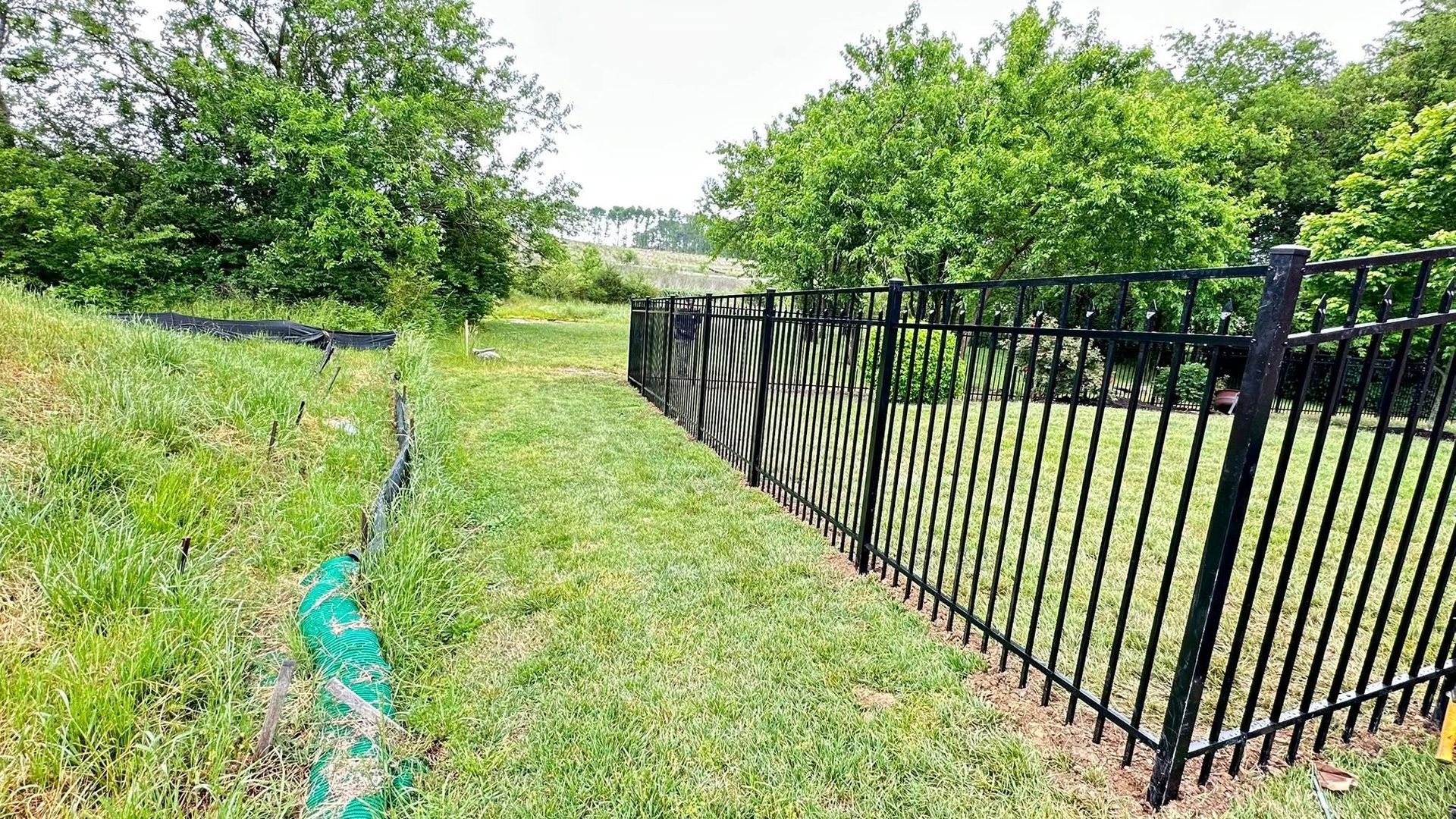 Grassy path beside a black metal fence, bordered by lush green trees and shrubs in bright sunlight