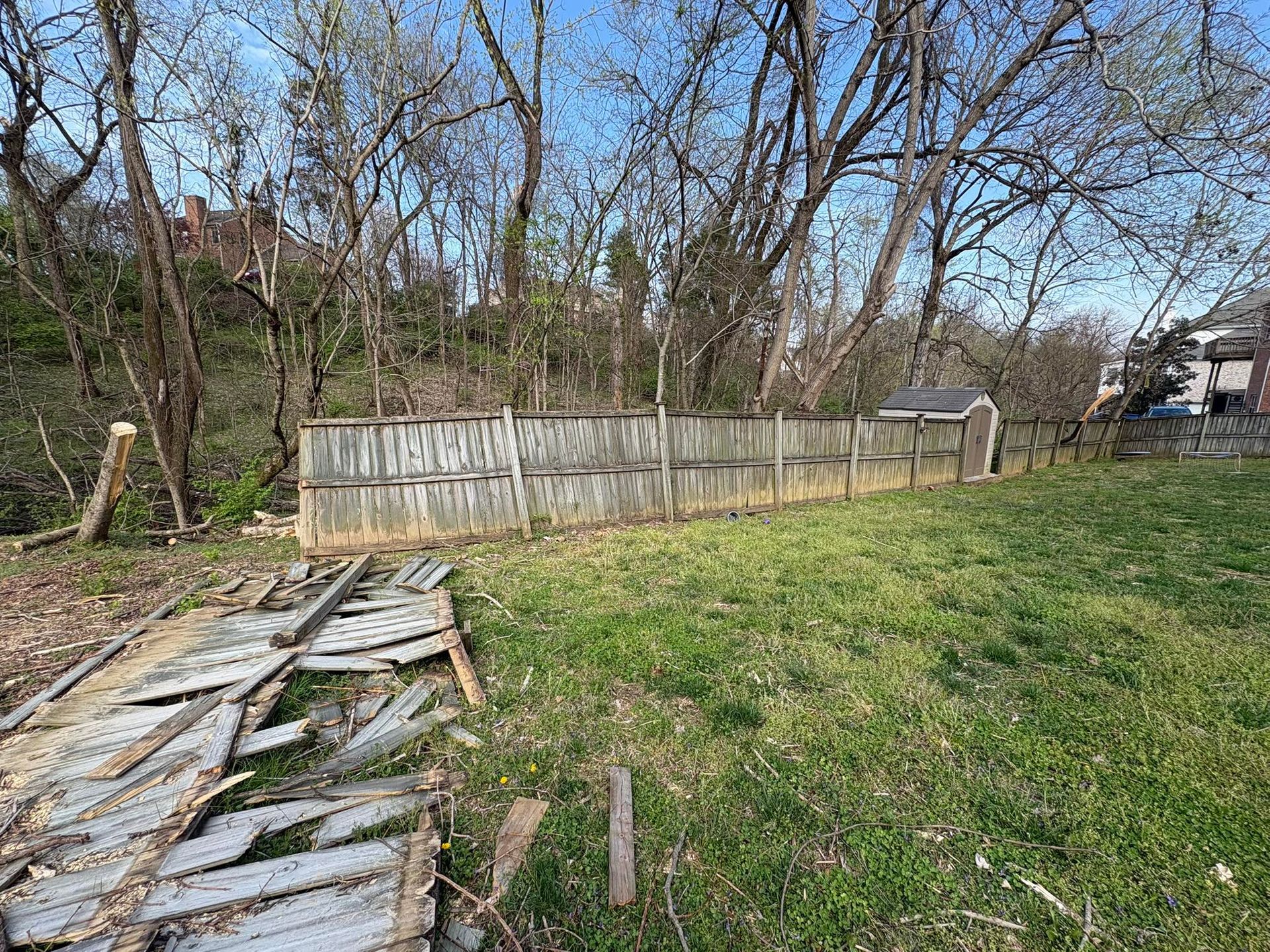 Overgrown backyard with a weathered wooden fence and broken boards in the foreground under leafless trees