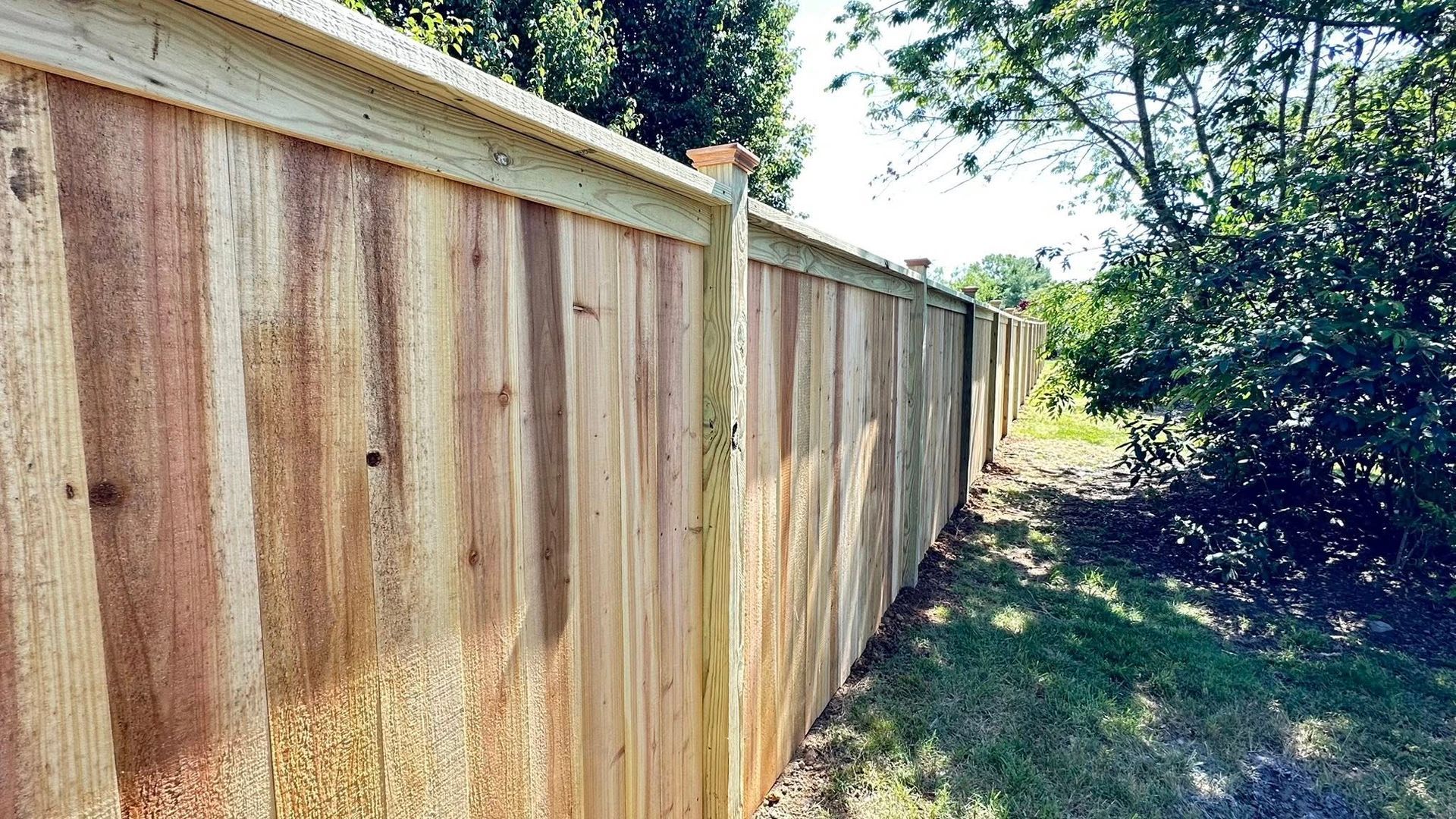 Wooden privacy fence along a grassy yard beside trees in bright sunlight