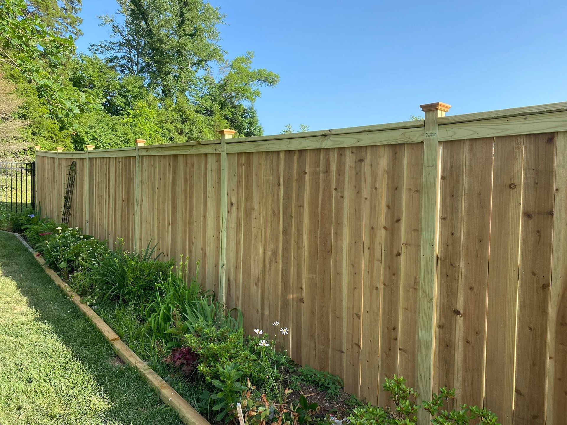 Wooden privacy fence beside a narrow garden bed with green plants and trees under a blue sky