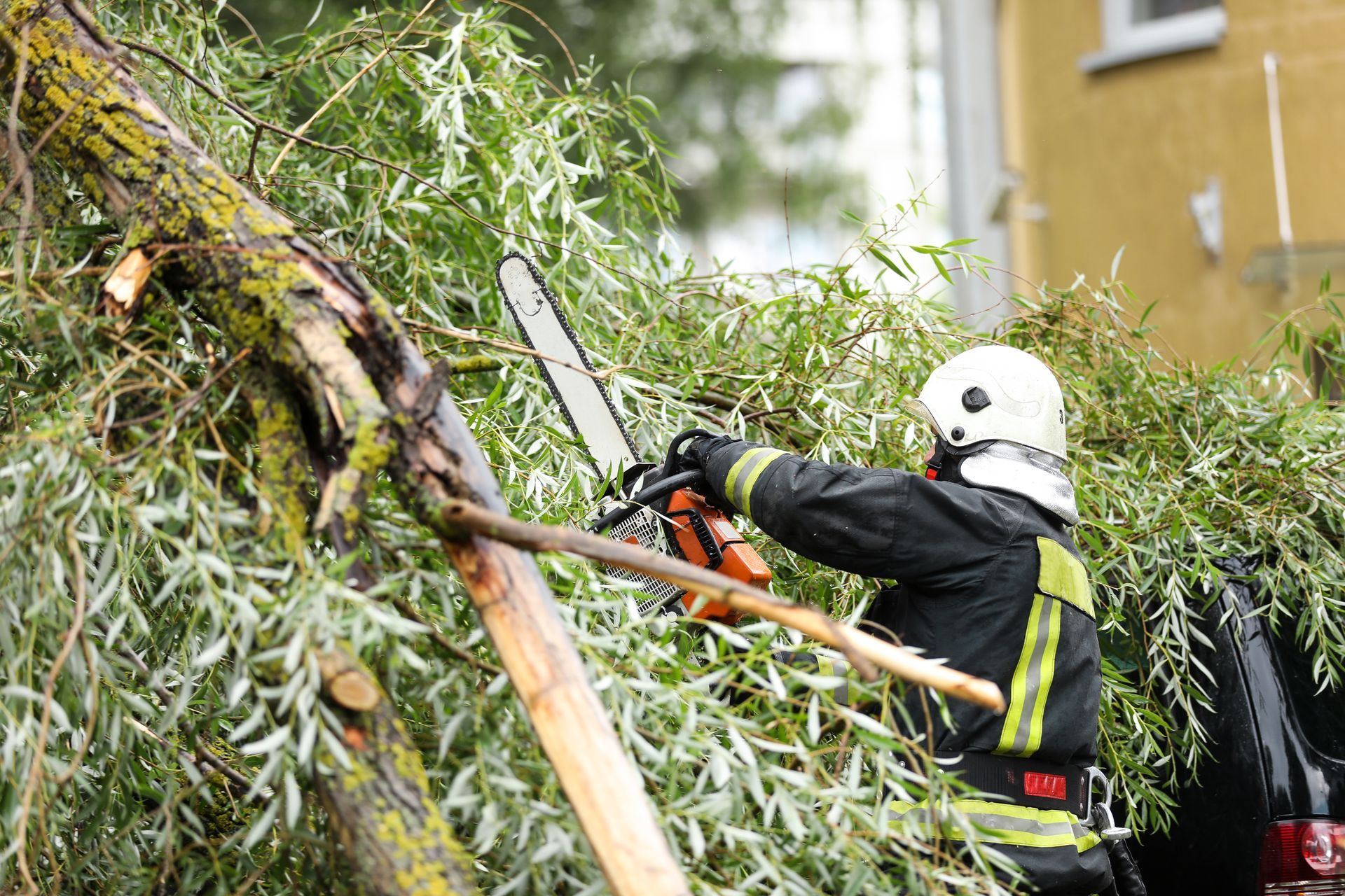 Worker using a chainsaw to cut fallen tree branches beside a house