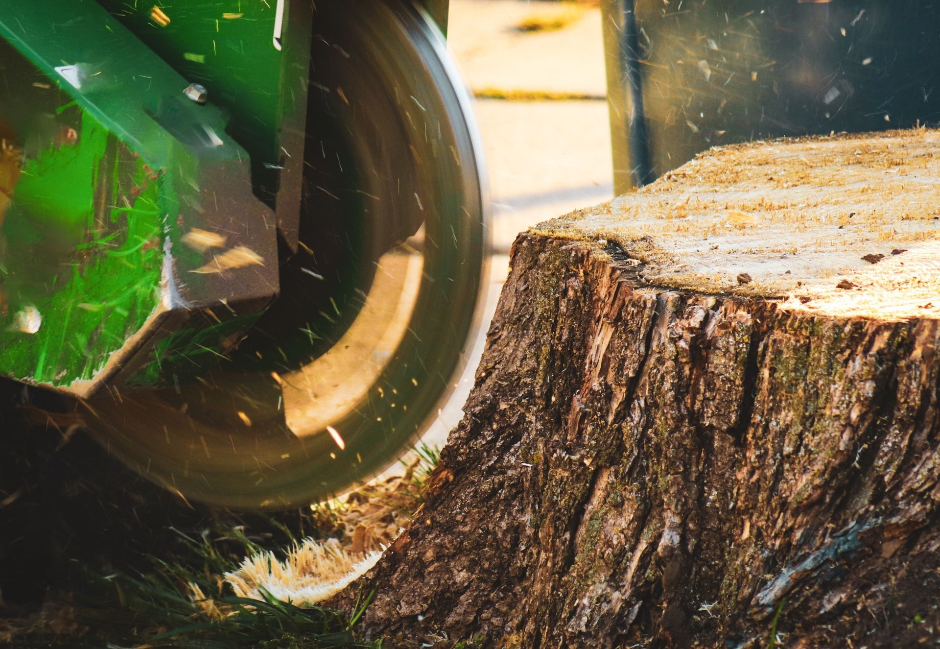 Green tractor tire cutting a fallen tree trunk in a wooded area