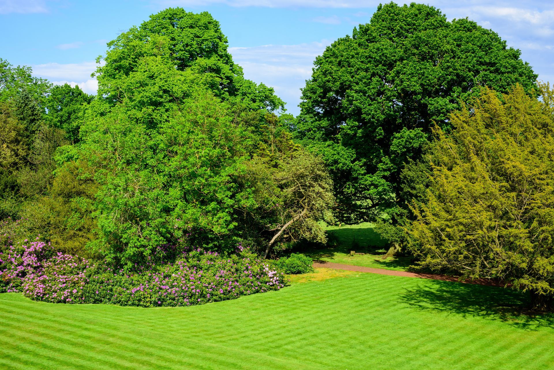 Lush green garden with trees, shrubs, and a neatly mowed lawn under a bright blue sky