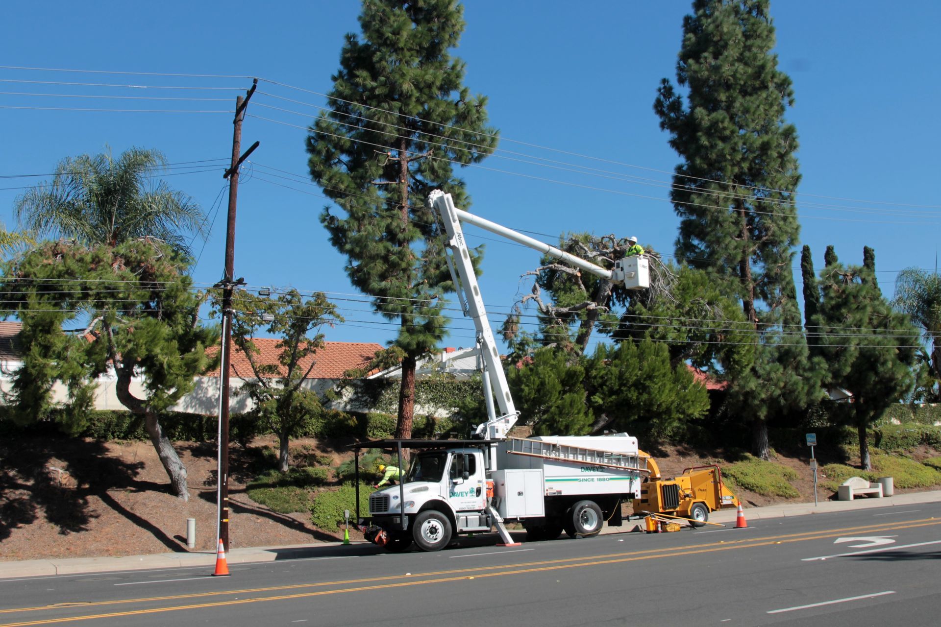 Utility truck and bucket lift beside a road, with cones and trees on a sunny hillside street.