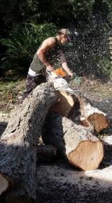 Person splitting a large log with an axe in a wooded outdoor area