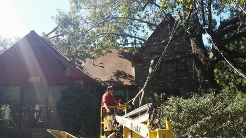 Person in a red shirt operating a yellow lift beside a house, with trees and rooftops in the background