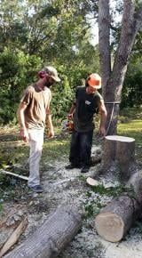 Two workers standing by cut tree logs in a wooded area, one holding a chainsaw.
