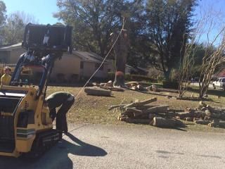 Worker using a yellow skid steer to clear debris from a suburban yard with fallen tree limbs.