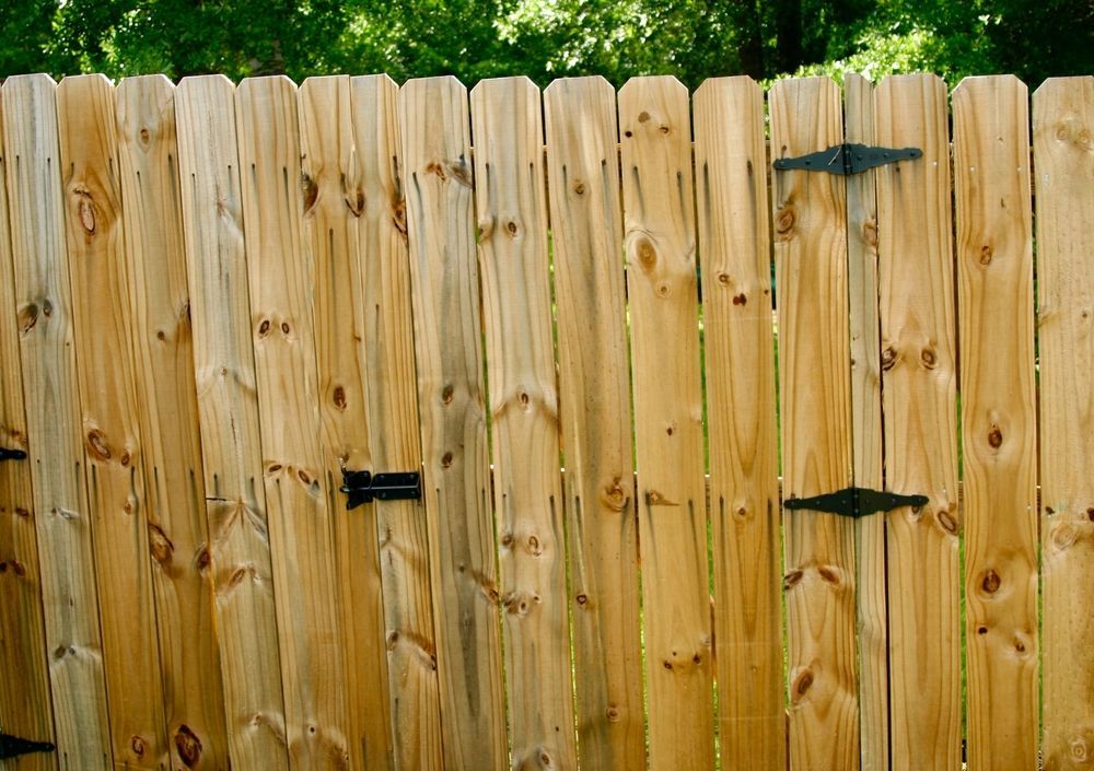 Wooden fence with green foliage visible above it