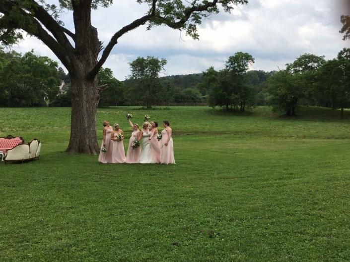 Group in pale pink dresses standing on a grassy field beside a large tree, with a cloudy sky overhead.