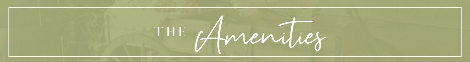 Pale olive banner with the white script title “The Amenities”