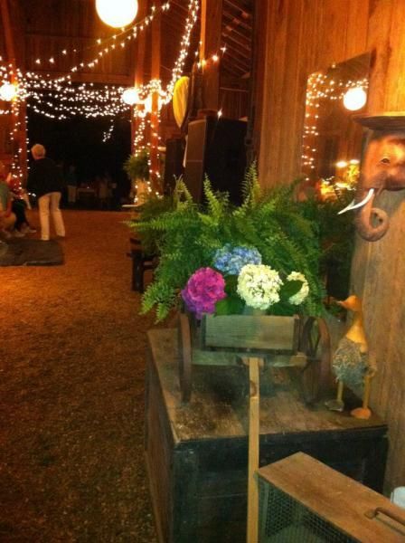 Dimly lit outdoor walkway with string lights and potted flowers on a wooden cart