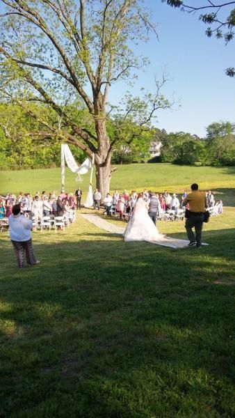 Outdoor wedding ceremony under a large tree, with guests seated on the lawn and a bride in a white gown.