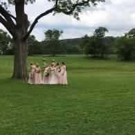 Five women in pink dresses stand on a grassy lawn near a large tree under a cloudy sky.