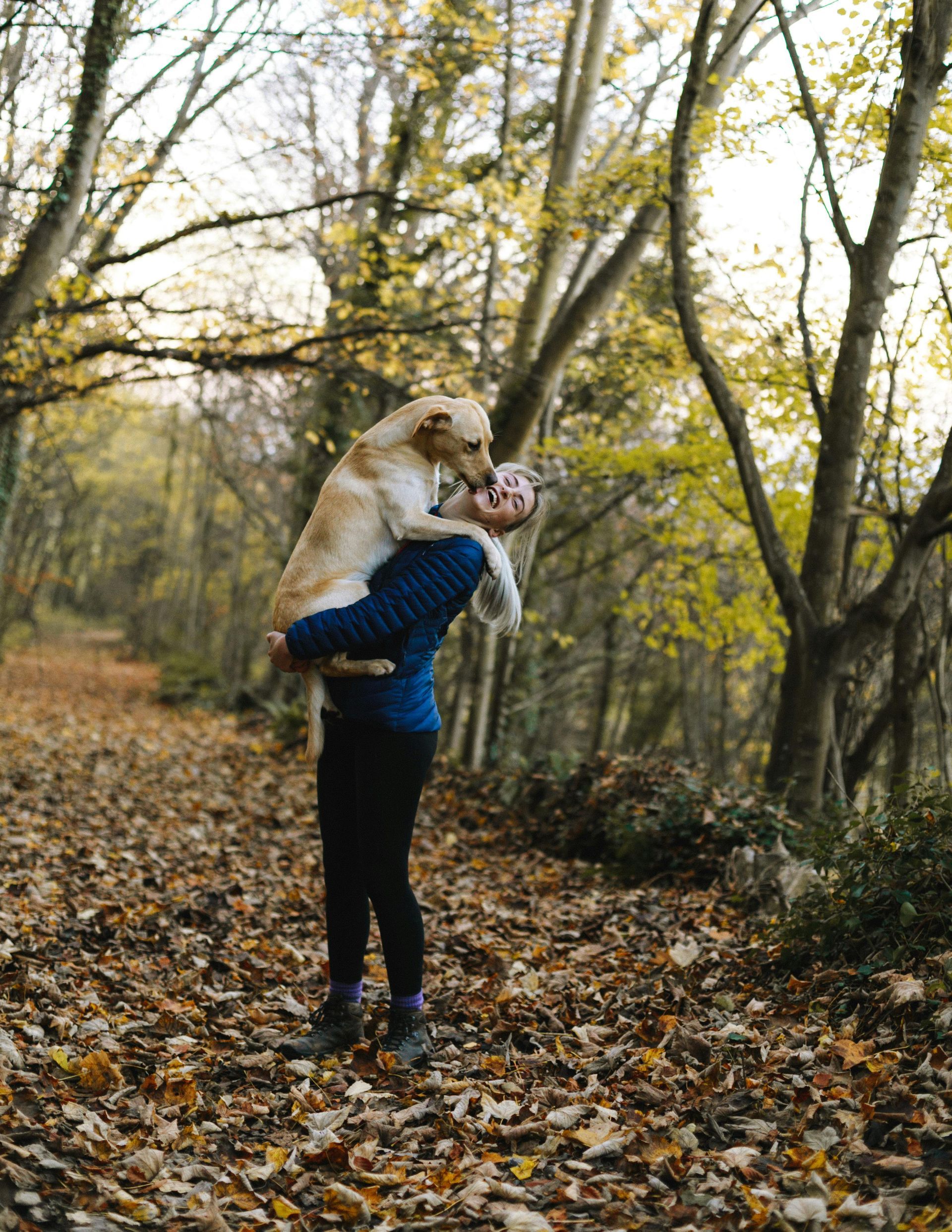 Dog friendly hikes near Woodstock VT
