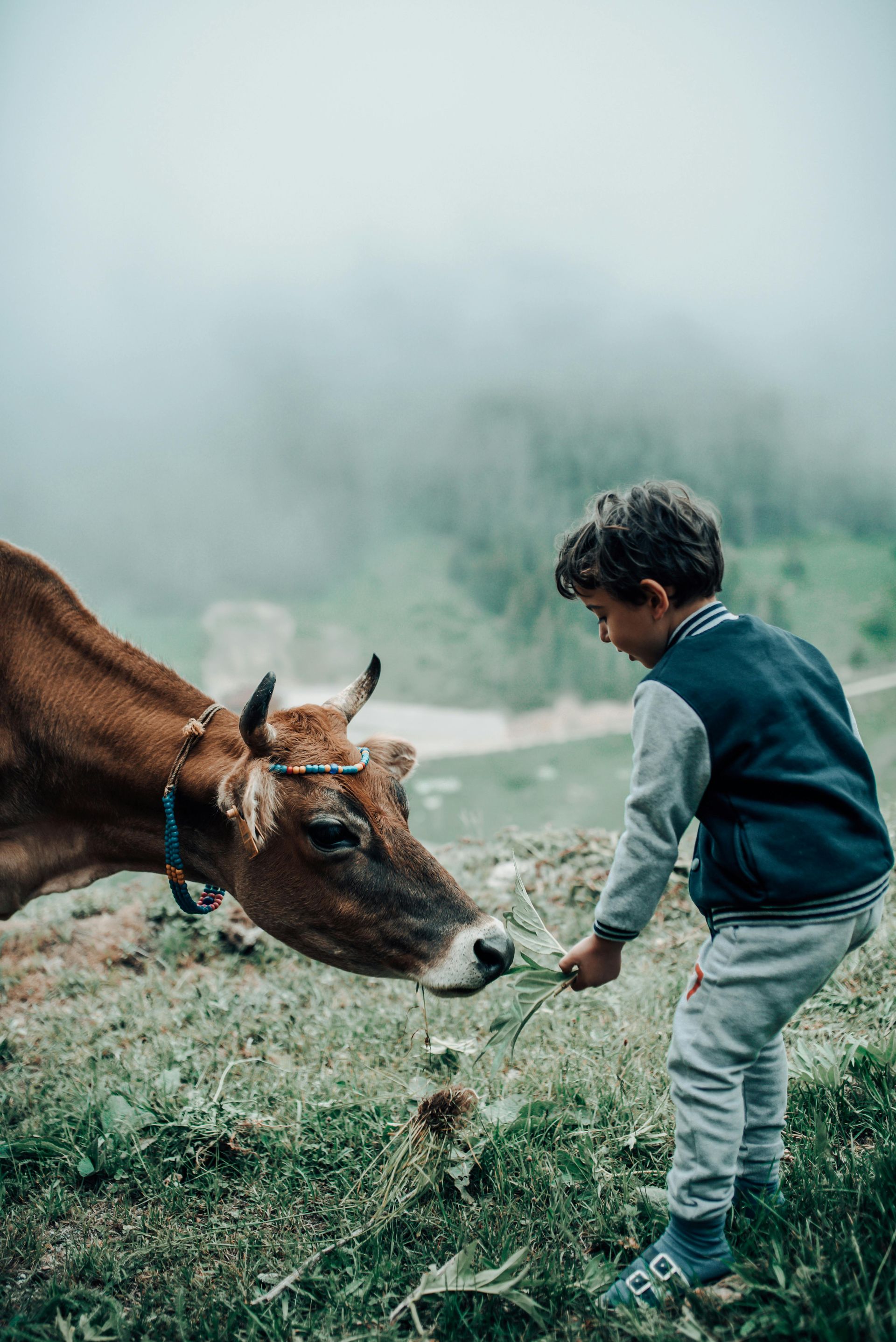 Kid friendly things to do near Woodstock VT