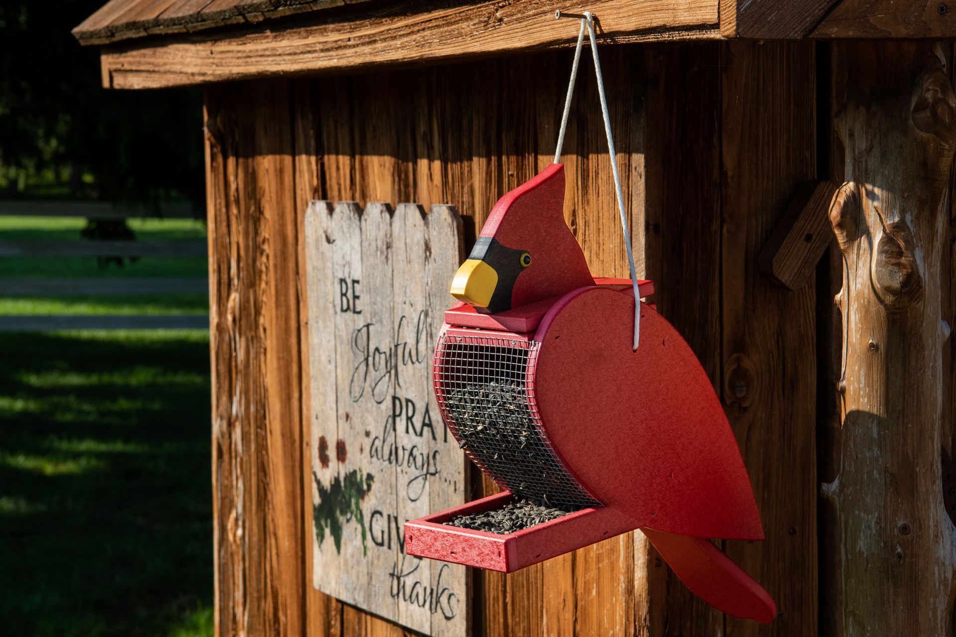 Red cardinal-shaped bird feeder hanging from a wooden structure; seed visible.