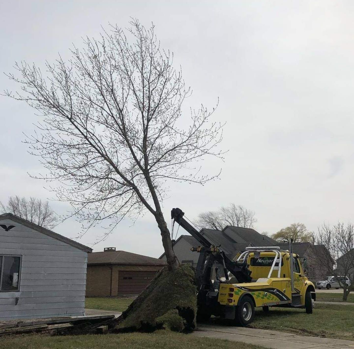 A yellow tow truck is pulling a tree out of the ground