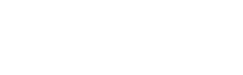 Intensive Renovations logo