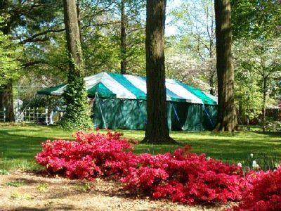Arts Festival – New Philadelphia, OH – Centre Party Rental