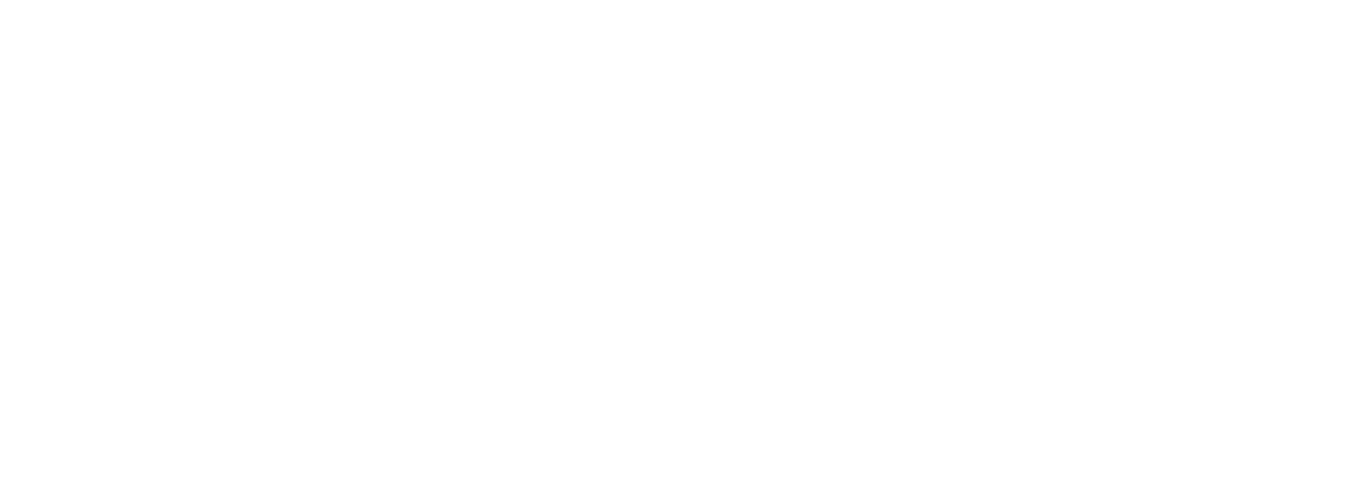 Logo: globe with airplane and the text