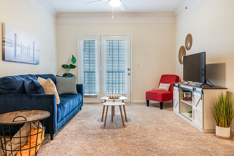 A living room with a blue couch , red chair , coffee table and television. Johnson City, TN.