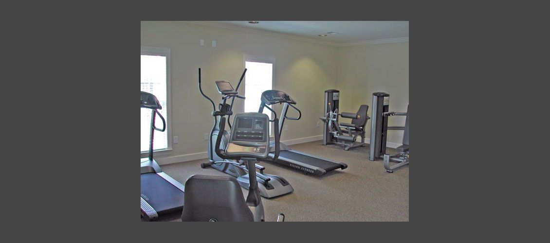 There are many different types of exercise equipment in this gym.
