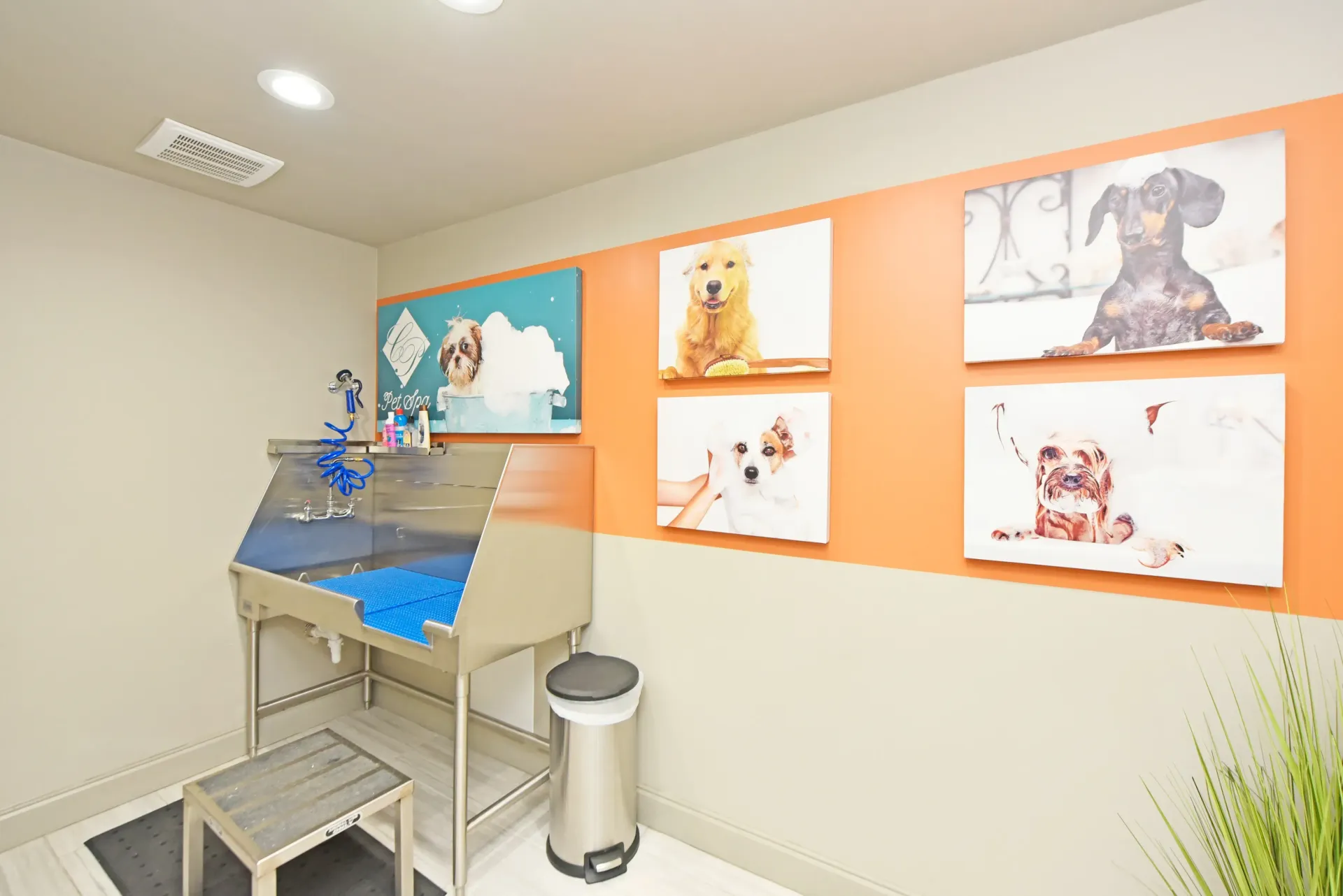A dog grooming station room with a sink and pictures of dogs on the wall at apartment in West Knoxville, TN