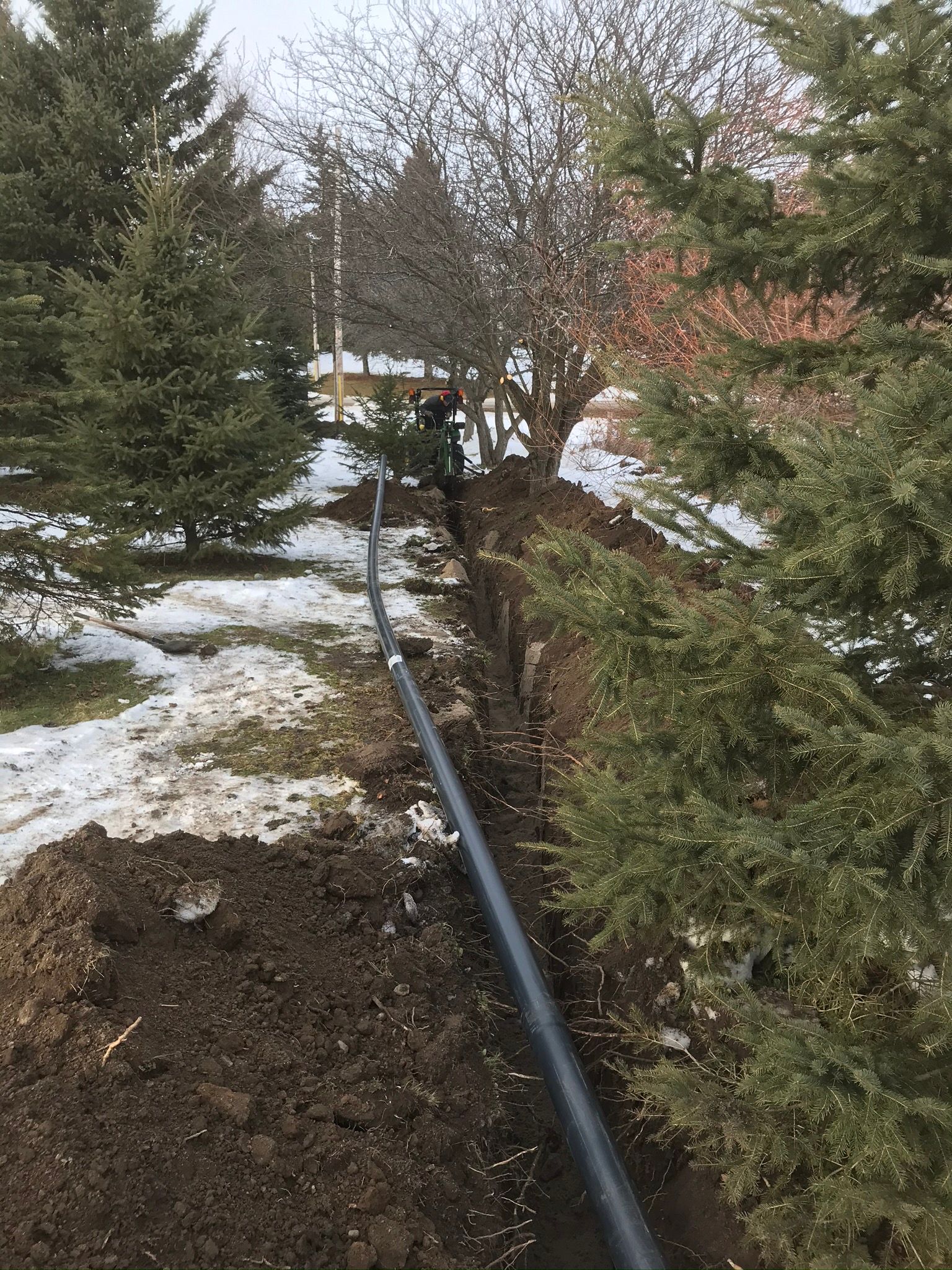 a pipe is being installed in a yard surrounded by trees .