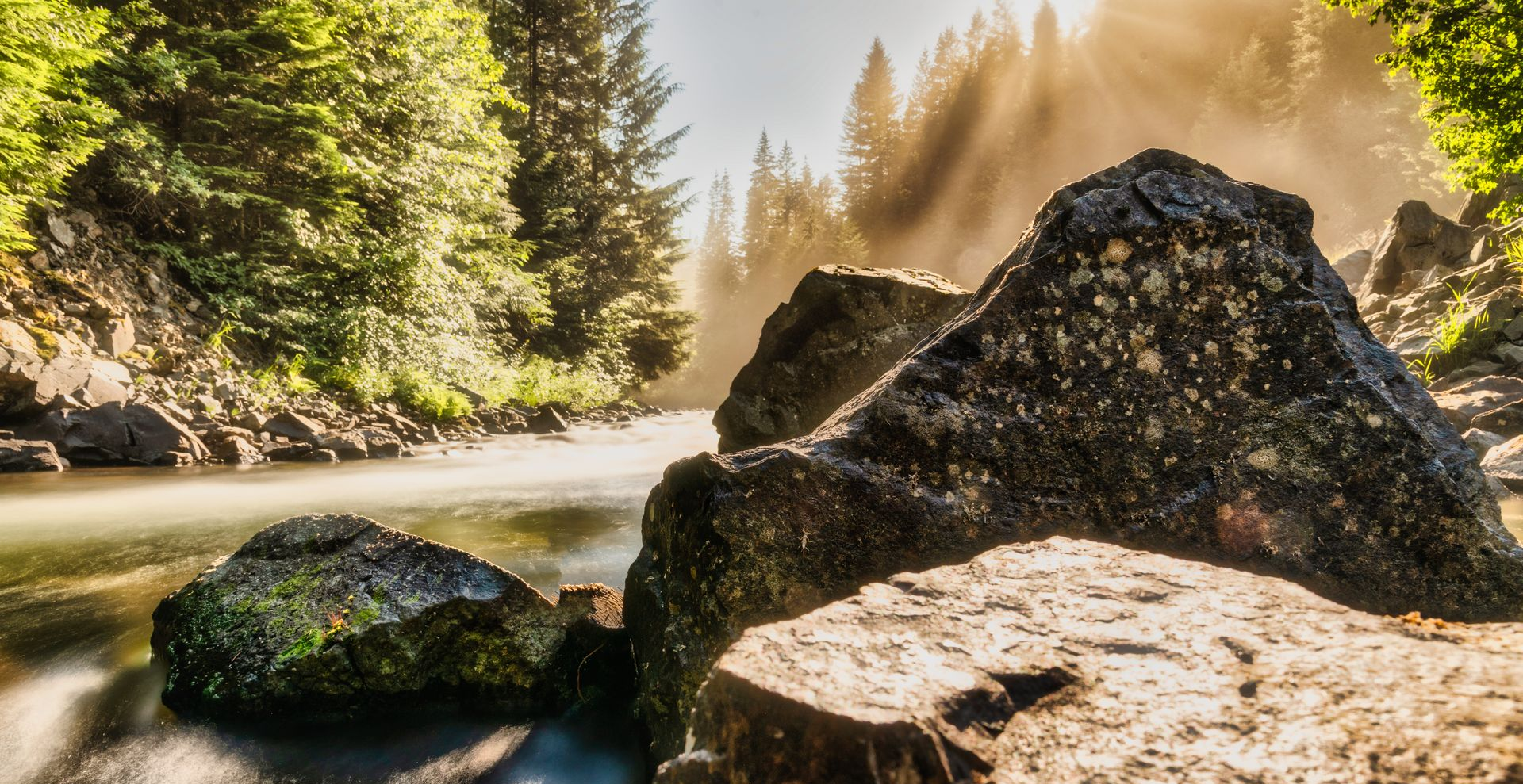 Sunlit mountain stream with mossy rocks and evergreen trees in a forest