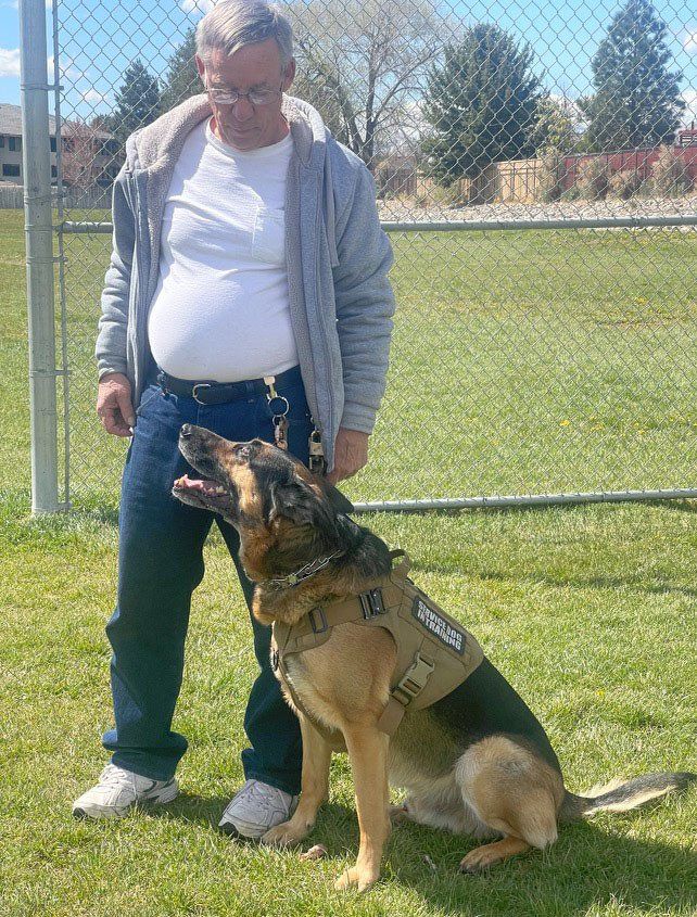 Reno Dog & Puppy Training Near Me