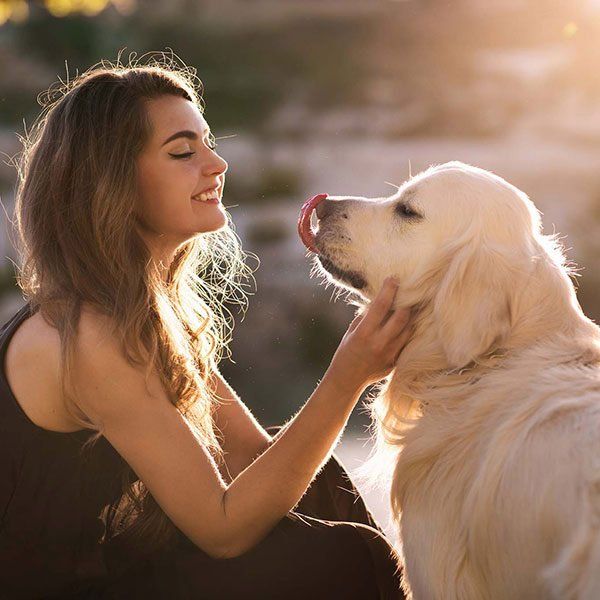 Reno Dog & Puppy Training Near Me