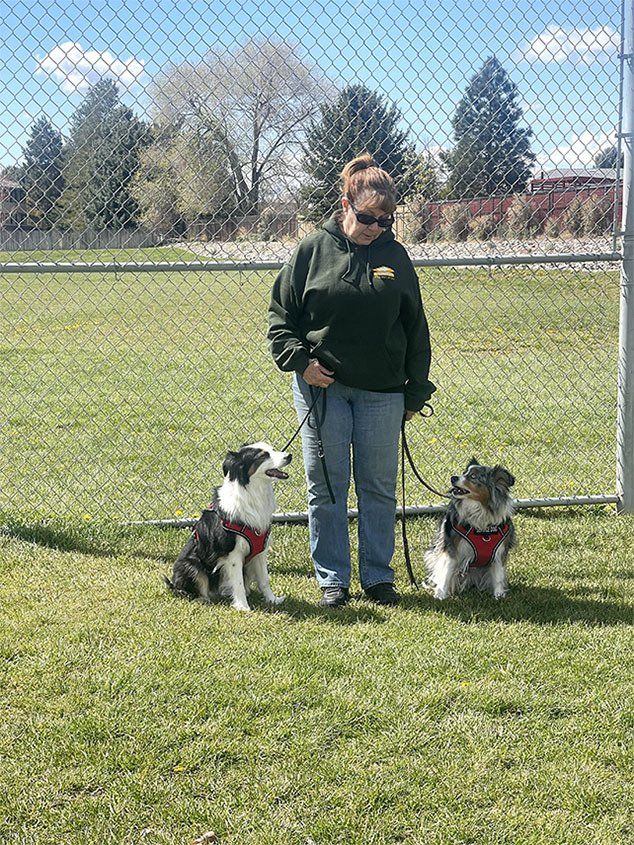 Reno Dog & Puppy Training Near Me