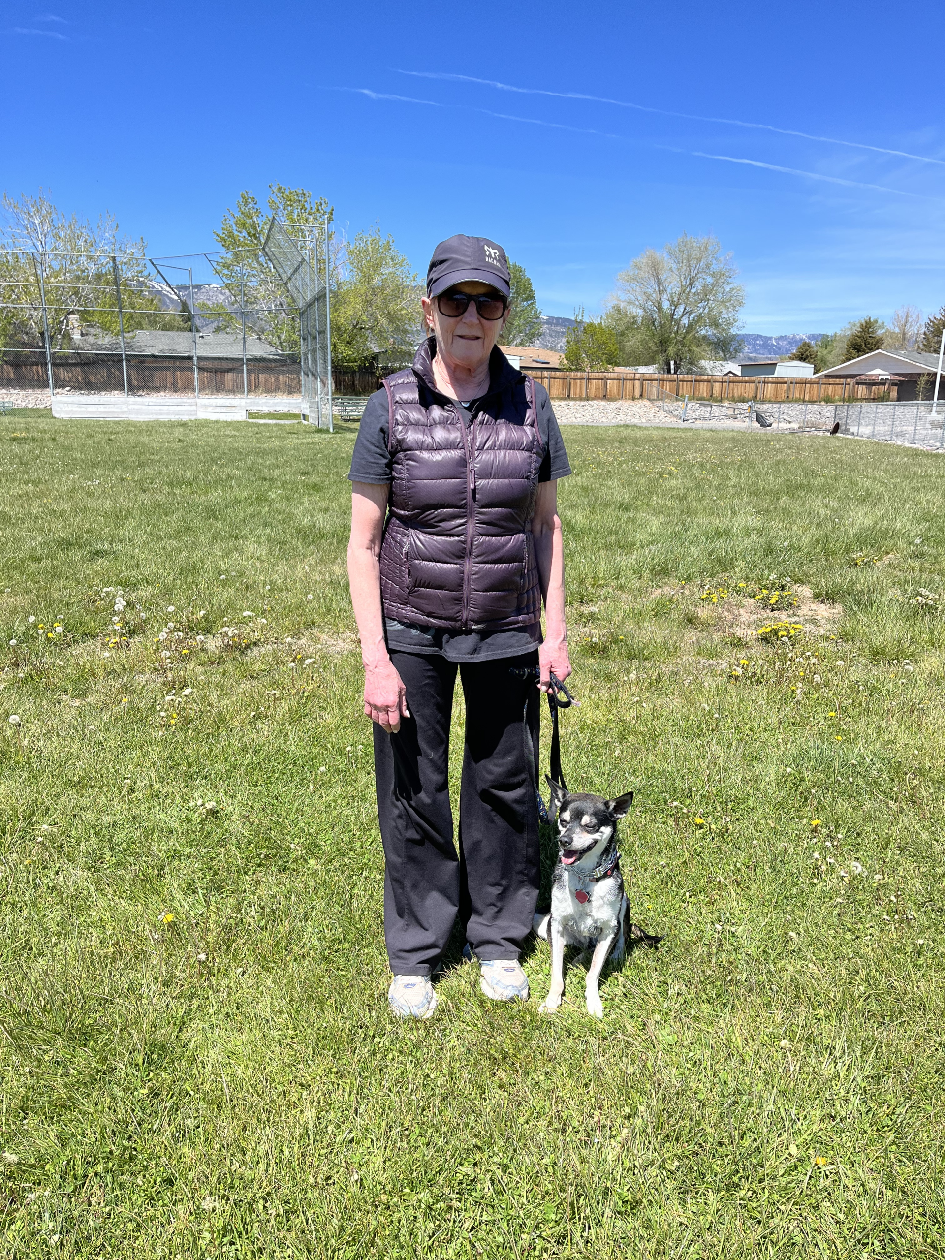 Reno Dog & Puppy Training Near Me