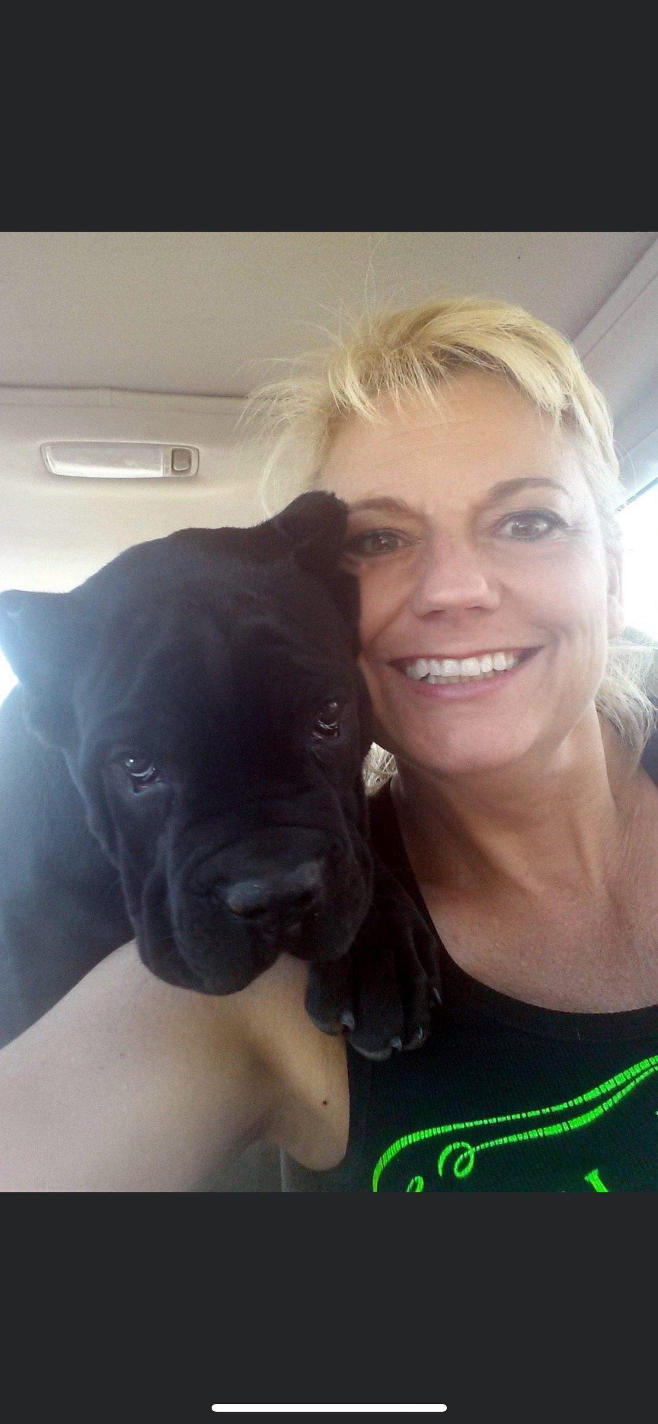 Reno Dog & Puppy Training Near Me