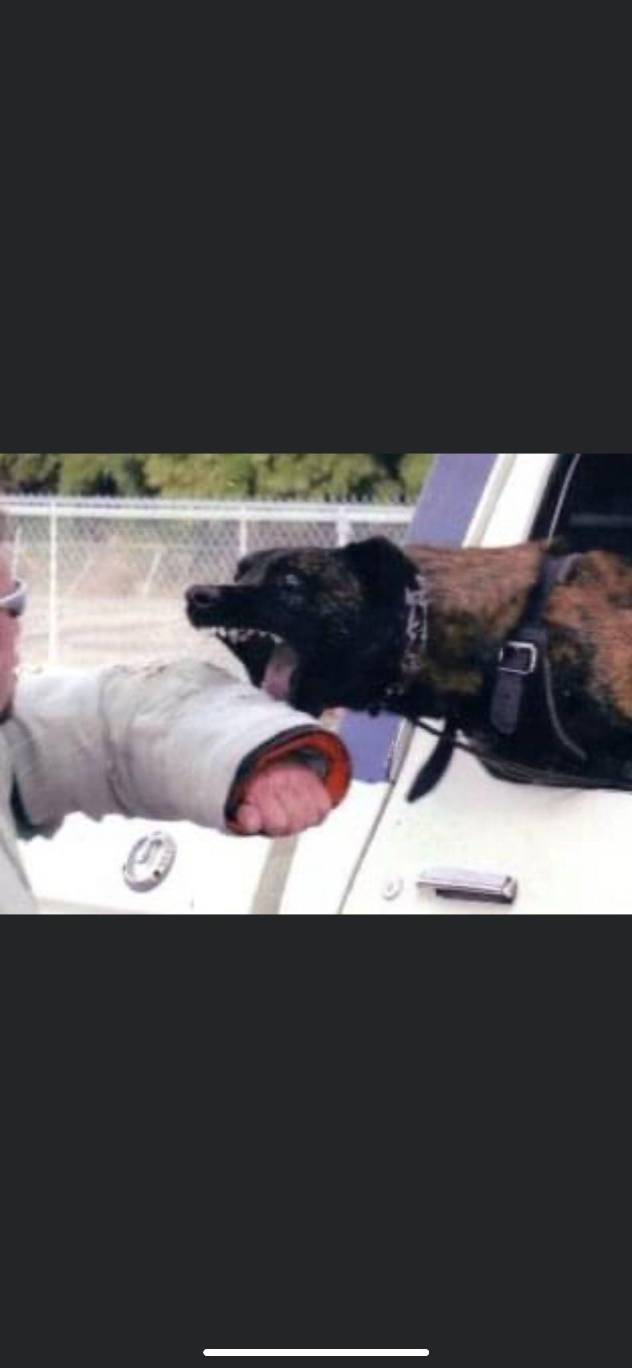 Reno Dog & Puppy Training Near Me