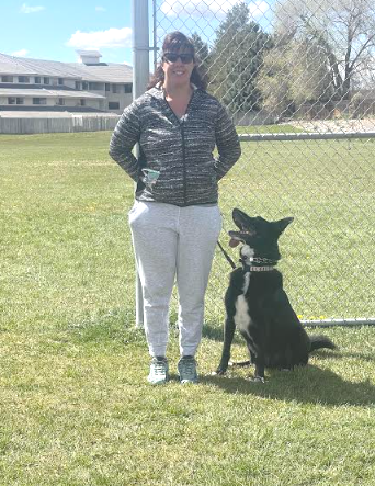 Reno Dog & Puppy Training Near Me