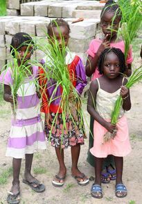 Four children stand outdoors holding green leaves, with stacked stone blocks in the background.