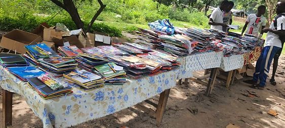 Outdoor book stall with rows of colorful books displayed on tables under trees