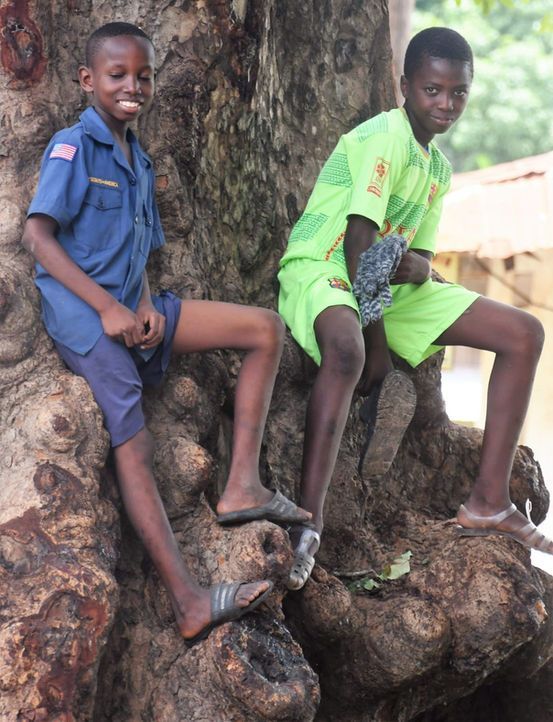 Two children sitting on a large tree root, one in blue and one in green, outdoors