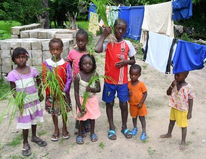 Children standing outdoors by a clothesline, holding plants and leaves, with laundry hanging nearby