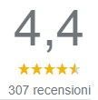 icona google