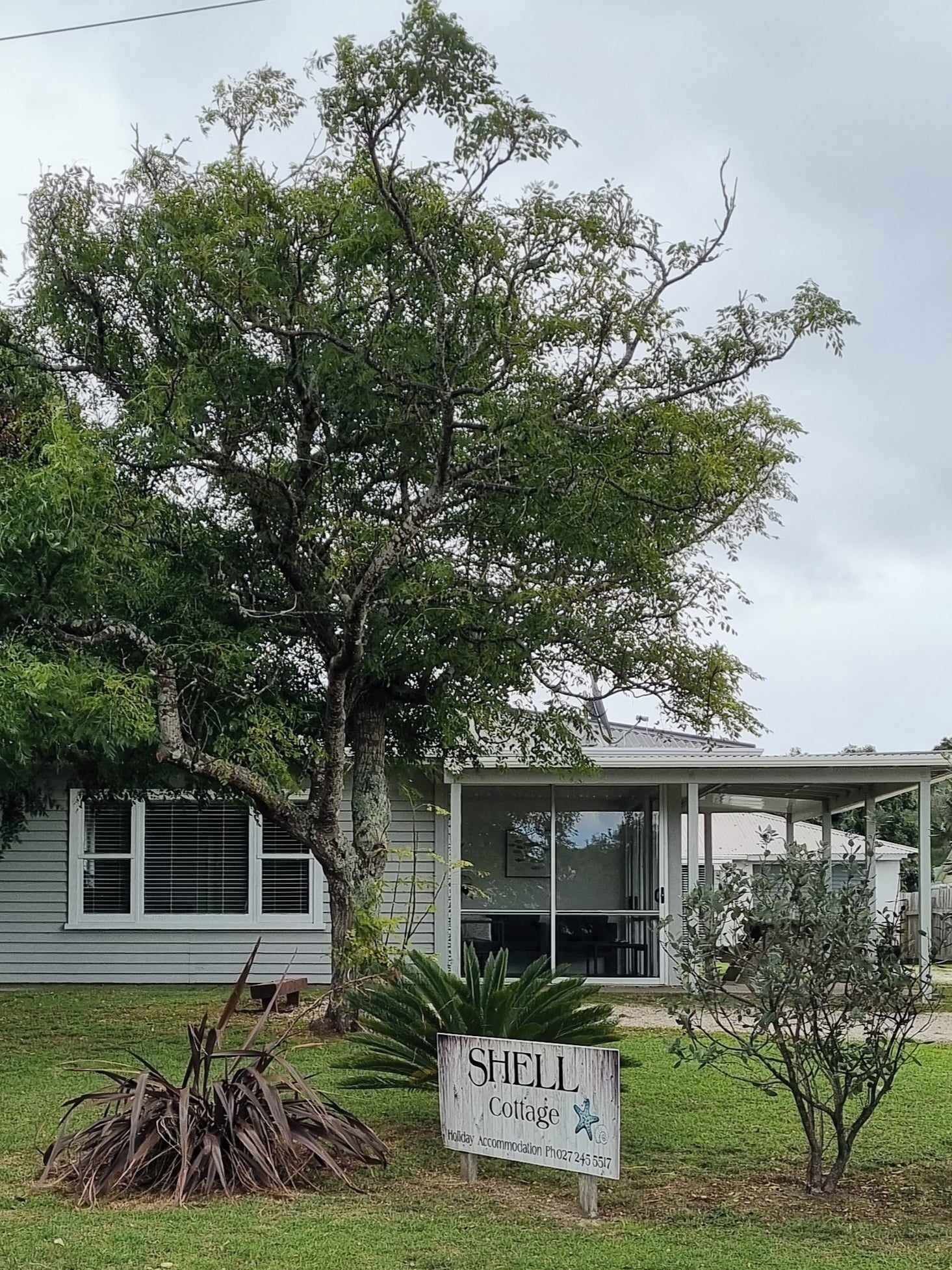 Small, white house with large tree, sign that reads "SHE". Green grass and plants in front.