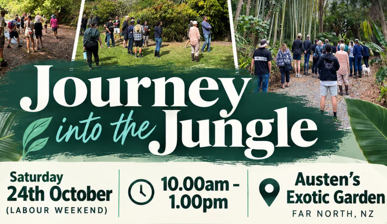 Journey into the Jungle