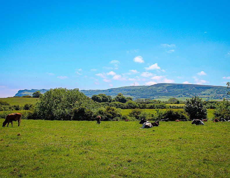 Middlewood Farm Holiday Park - Photo 2