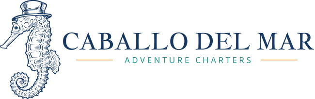 Caballo Del Mar Logo