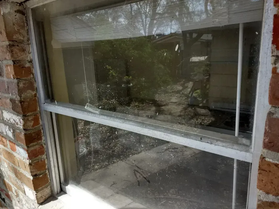 Window with a white frame and blinds. The glass is dirty, and the view outside shows a yard.