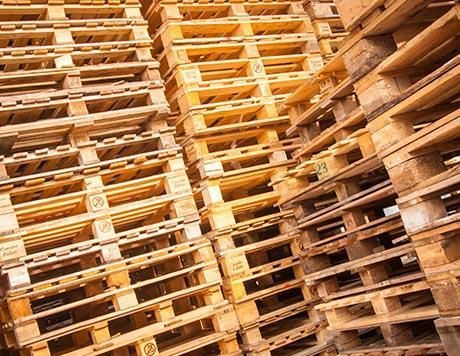 RECIOS PALLETS INTERNATIONAL S DE RL DE CV RECIOS PALLETS INTERNATIONAL S DE RL DE CV