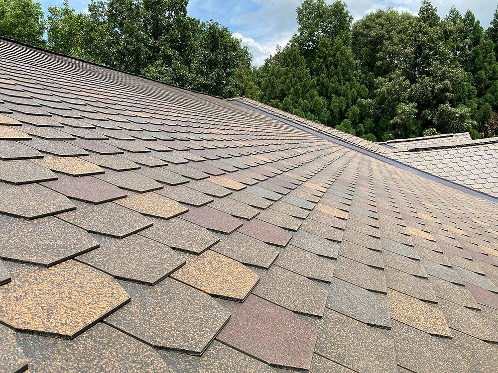 A close up of a roof with a lot of shingles and trees in the background.