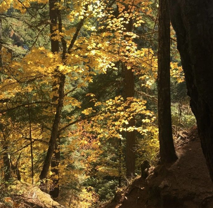 Central Oregon